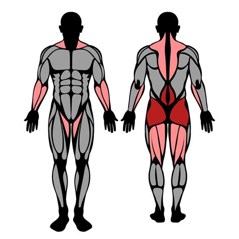 How to Do Power Snatch: Muscles Worked & Proper .